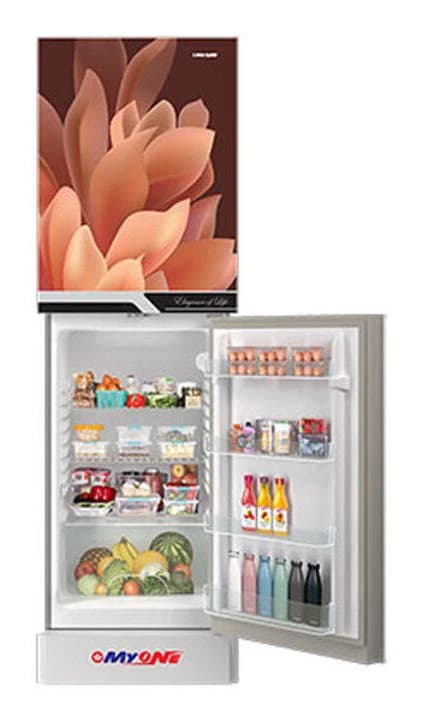 MyOne 302L Two-Door Top Frost Refrigerator (MY-3X2G)