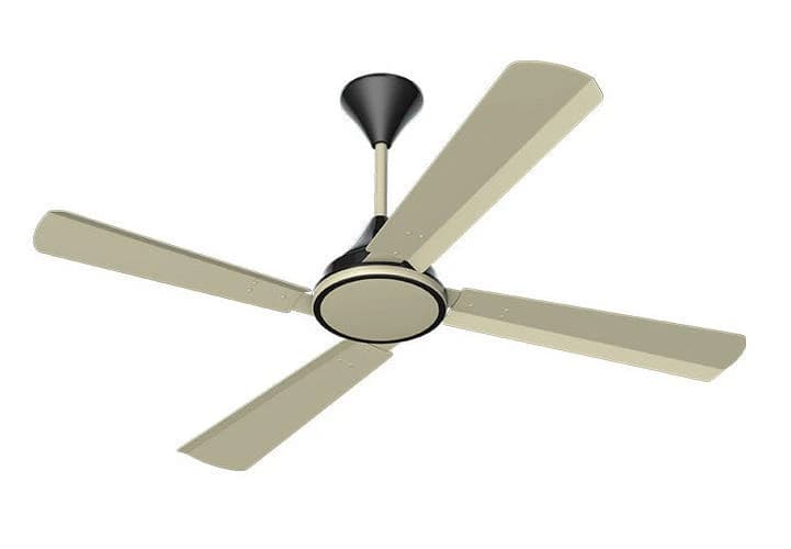 Conion Signature 56 Inch 4 Blades Ceiling Fan