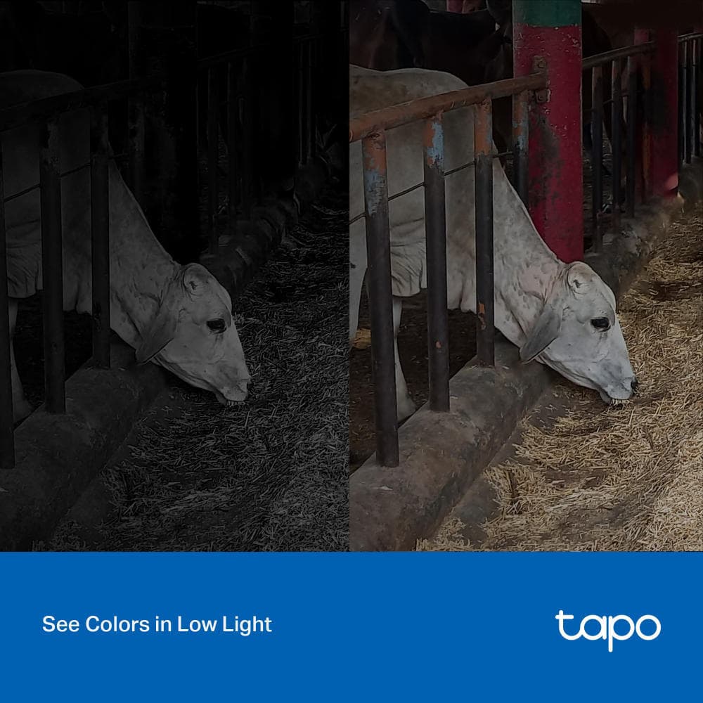 TAPO C320WS 4MP Outdoor Security WiFi Full-Color Night Vision Camera